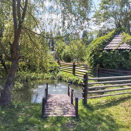 Відпочинковий Комплекс "Alpha Plus" Iablunîțea Exterior foto