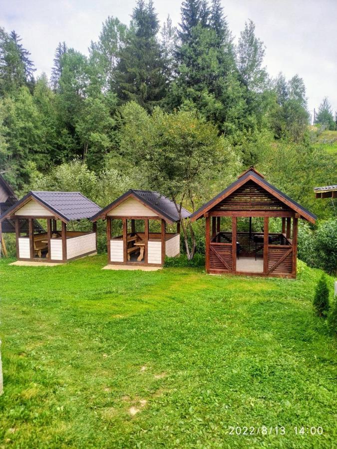 Відпочинковий Комплекс "Alpha Plus" Iablunîțea Exterior foto