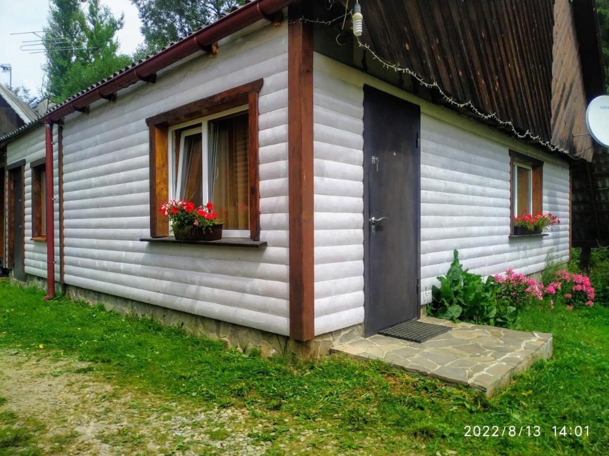 Відпочинковий Комплекс "Alpha Plus" Iablunîțea Exterior foto